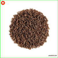 Cygnet Cumming Seed 100g